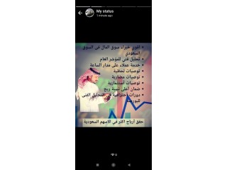 ادق توصيات وادارة محافظ الاسهم السعودية والامريكية والعملات باعلي الارباح من مكتبنا الاستشاري